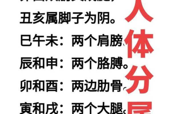 八字疗法图 八字疗法图