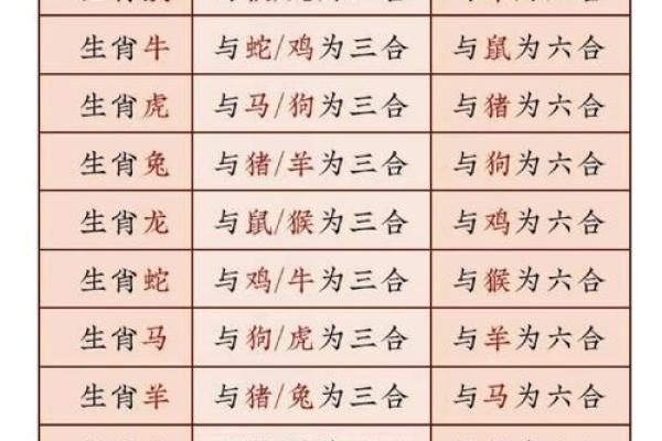 八字大家属于哪个生肖 八字大家属于哪个生肖