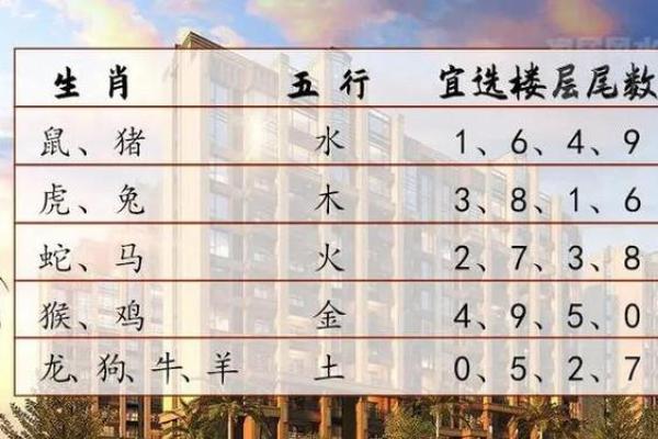 八字大家属于哪个生肖 八字大家属于哪个生肖