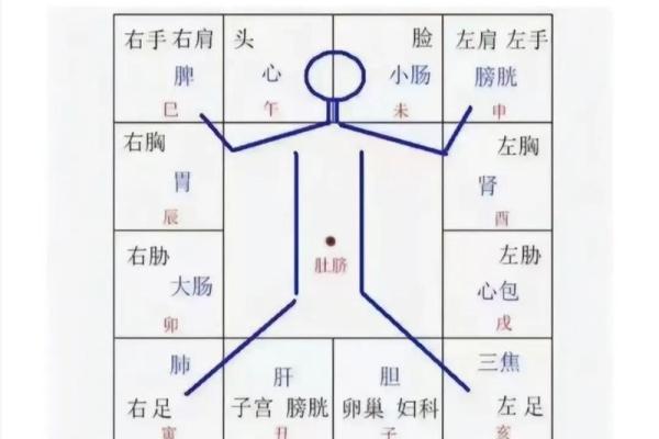 紫薇斗数看学识 紫薇斗数看学识