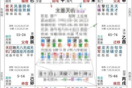 紫薇斗数怎么从看到配偶的学历