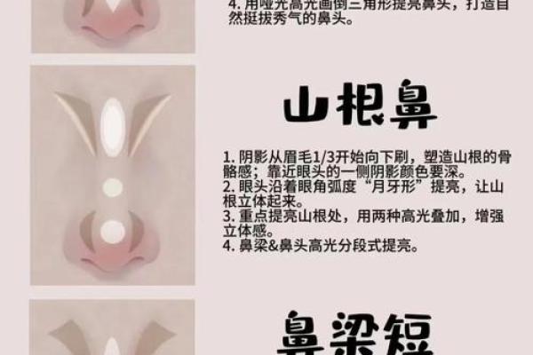 风水面相女人鼻头大到底好不好 风水面相女人鼻头大到底好不好