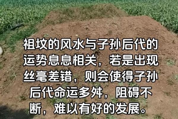 传说中的风水祖坟故事都有哪些 传说中的风水祖坟故事都有哪些