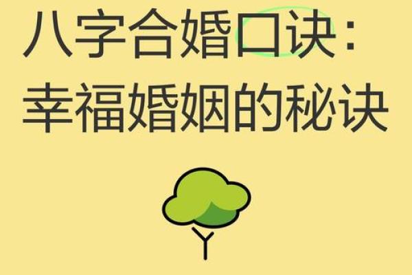 八字配对合婚 八字配对合婚