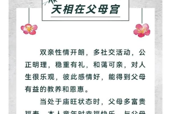 紫薇斗数视频进阶 紫薇斗数视频进阶