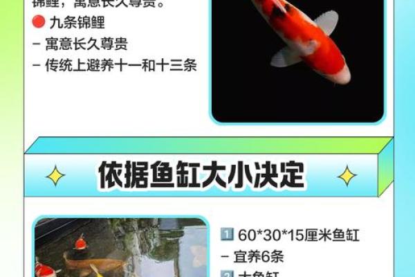 风水观点养鱼养几条旺财风水 风水观点养鱼养几条旺财风水