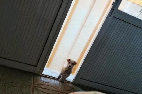 算命要我晒太阳 算命要我晒太阳