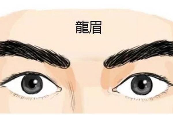 风水面相哪三种眉毛男人最好命 风水面相哪三种眉毛男人最好命