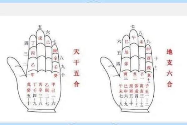 算命顺序和步骤图 算命顺序和步骤图