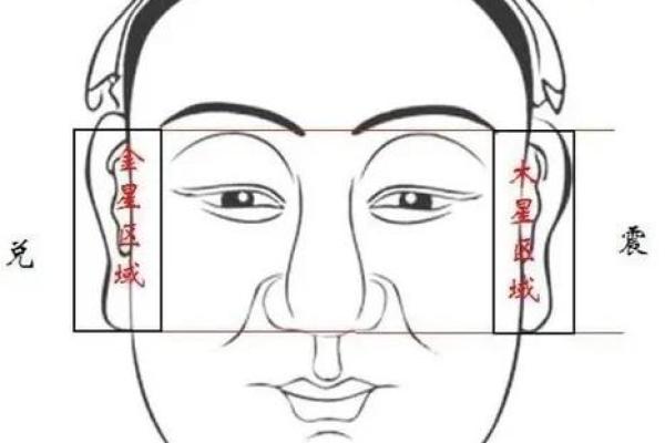 紫微斗数夫妻宫太阴星脸型 紫微斗数夫妻宫太阴星脸型