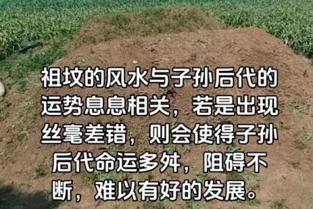 传说中的风水祖坟故事都有哪些