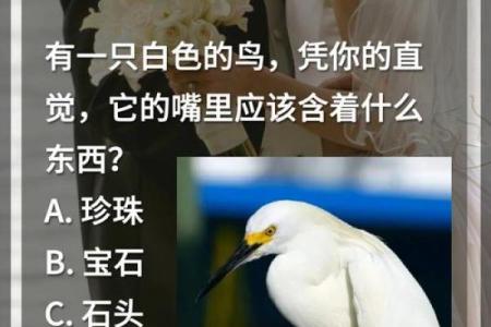 趣味测试：测测你未来的身价