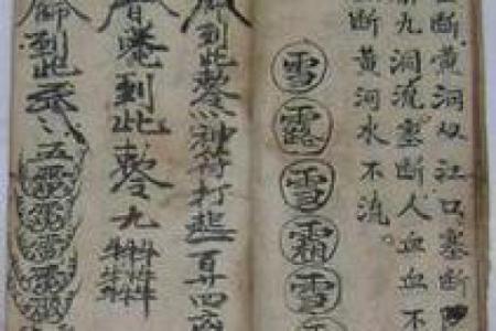 紫微斗数之预测灾厄：动物伤害