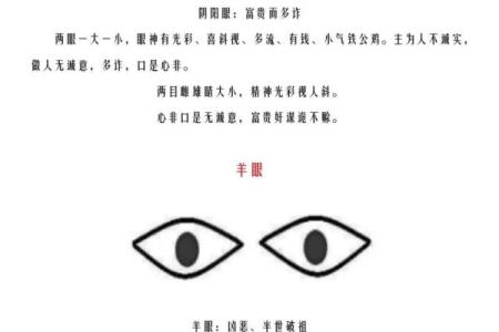 五官看面相算命图解女眼睛 眼睛看相算命图解