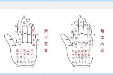 算命顺序和步骤图