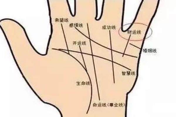 手相算命:什么样的手相最有偏财运 手相算命:什么样的手相最有偏财运