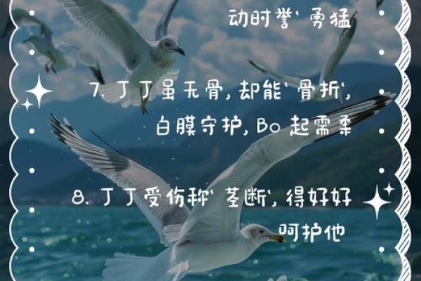 八字提要丁 八字提要丁