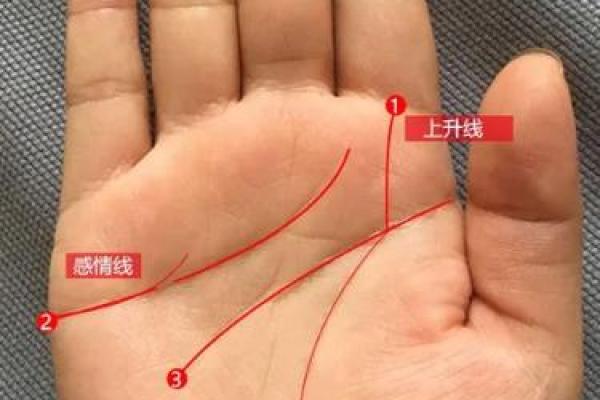 算命是用左手还是右手好 算命是用左手还是右手好