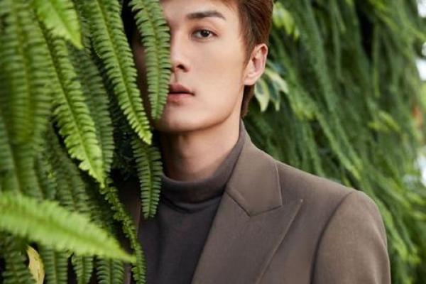 吴克群紫薇斗数 吴克群紫薇斗数