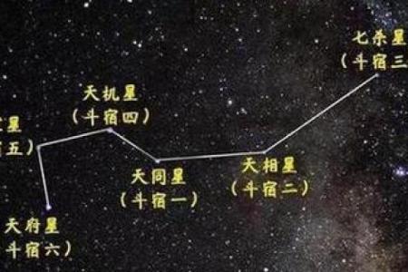 紫薇斗数天府男