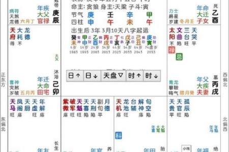 紫薇斗数配偶财富