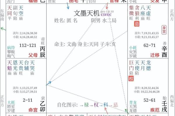 紫薇斗数外国人 紫薇斗数外国人