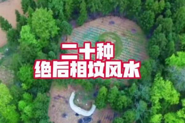 祖坟风水对后人有什么影响 祖坟风水对后人有什么影响