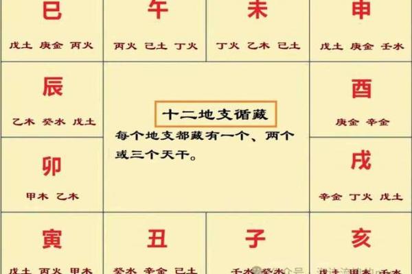四柱八字基础知识,地支藏干的基本原理 四柱八字基础知识,地支藏干的基本原理