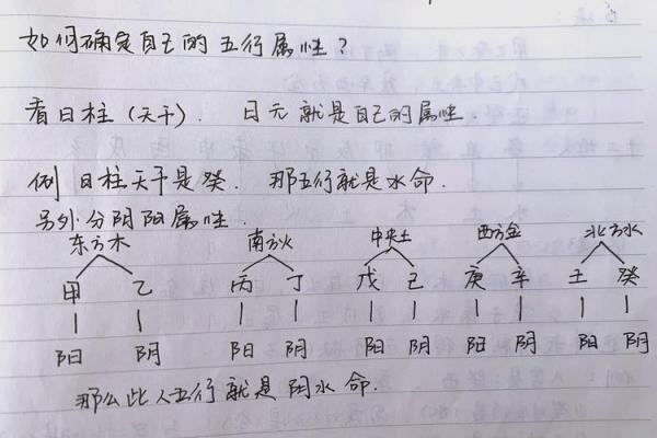 八字分析：如何看待八字中的学业成就？