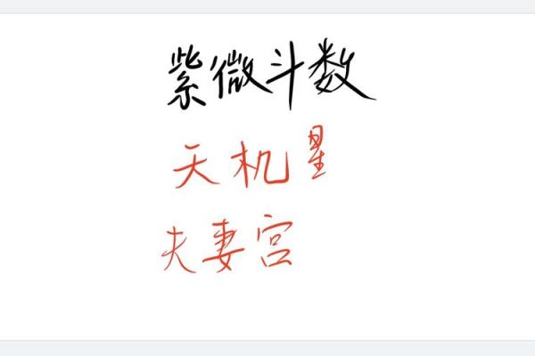 紫微斗数诸星落诸宫之，夫妻宫