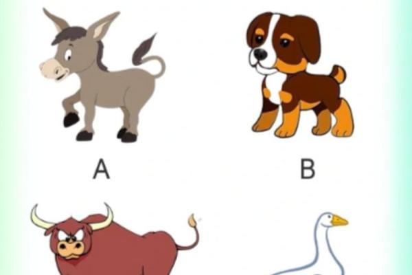 根据名字测试你是什么动物 本命动物测试 根据名字测试你是什么动物 本命动物测试