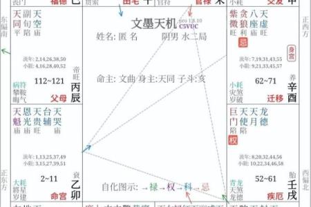 紫薇斗数外国人