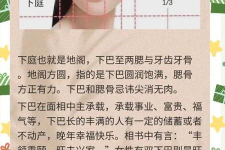 日本面相学：下巴算命