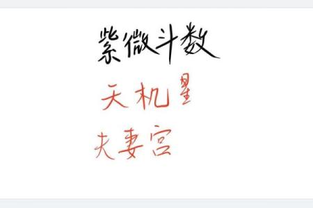 紫微斗数诸星落诸宫之，夫妻宫