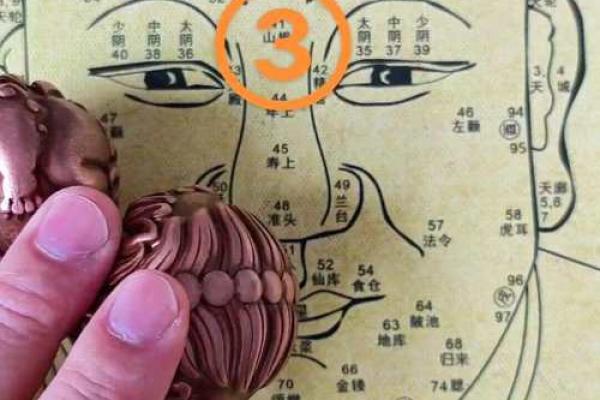 耳相算命图解，如何从耳相看人的命运