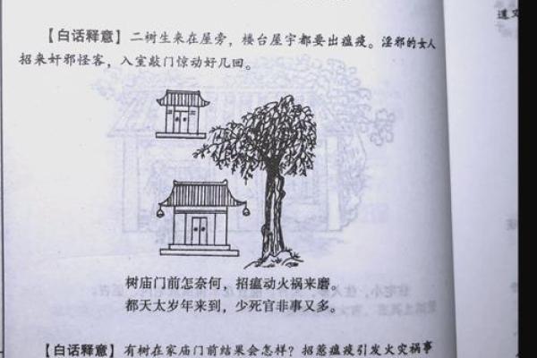 预测吉凶，住宅风水学入门知识