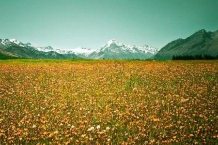 梦见算命不能开车