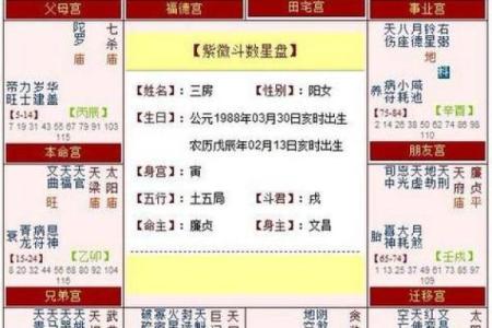 紫微斗数之子女宫与诸星，紫微星在子女宫是什么意思？