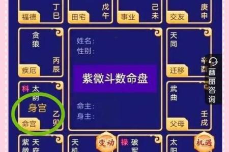 紫薇斗数身宫未