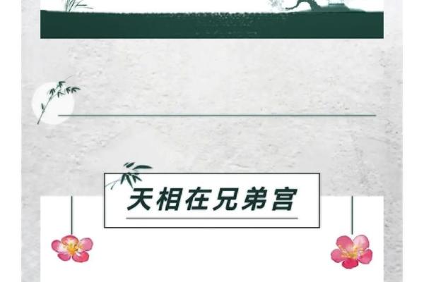 紫薇斗数大运音频 紫薇斗数大运音频