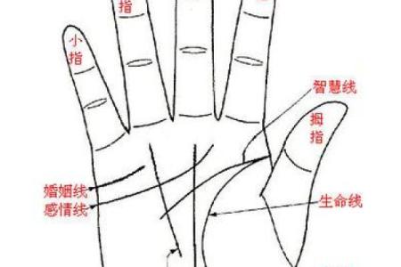 女人手纹算命图解,有福气的女人手相