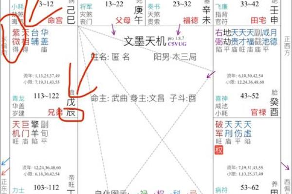 紫薇斗数如何看流年婚运