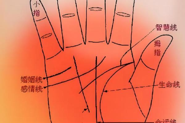 一斗穷二斗富指纹算命 手相运势分析