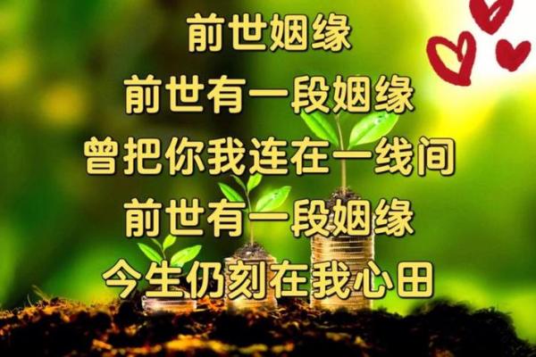 算命说宝宝带前世父母
