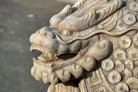 风水龙龟有什么作用的摆放方法及禁忌