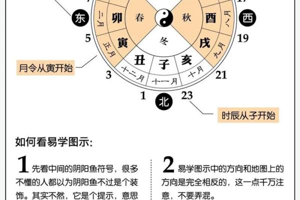 八字酉代表什么