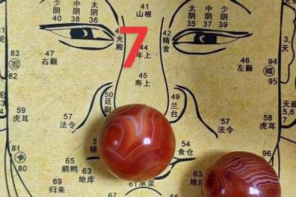 相书算命面相 相书中的面相能算命吗