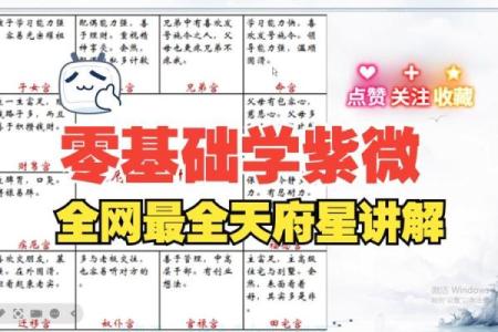 紫微斗数二婚胜过第一婚 教你从子女宫看二婚配偶