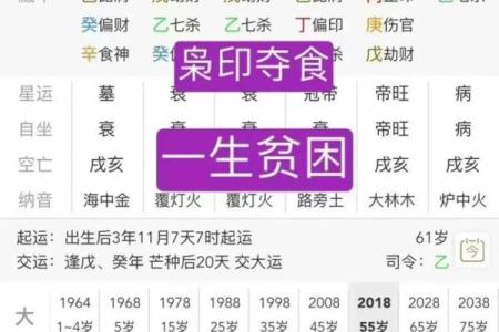 枭杀在八字中是什么意思 八字中的枭杀是什么含义