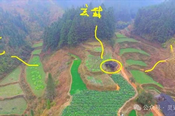 风水房子在龙肚子好吗 风水房子在龙肚子好吗